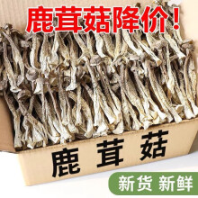 可钦鹿茸菇干货鹿茸菌500g古田脆脆菇新鲜土特产煲汤食材香菇 鹿茸菇干货【当季新货】 两斤