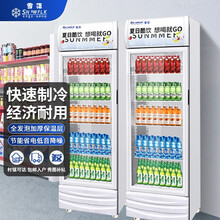 【雪花官方店】雪花商用冰柜冰箱展示柜保鲜柜立式冷藏柜商用冷藏展示柜饮料柜冷柜 单门展示柜（铜管）