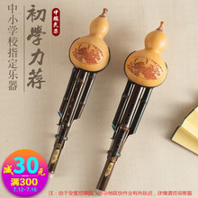 葫芦丝 初学者练习级葫芦丝演奏型乐器初学儿童小学生防摔双音胡芦丝爵士森乐器 紫竹防摔款C