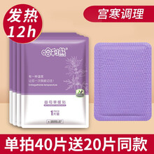 暖贴宝宝自发热女寒调理100片防寒冬季暖身暖宝热帖 益母草贴【宫寒调理】 20片