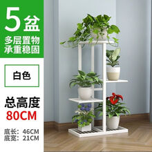 铁艺花架落地式花盆架多层省空间室内外客厅阳台绿萝花架子 白色(高80cm)4层5盆