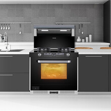 佳歌 （GUG） F2ZK-1 蒸烤一体集成灶侧吸抽油烟机燃气灶烟灶套装  液化气