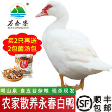 双黑永春白鸭净重3斤农家红脸番鸭现杀生鲜鸭子鸭肉土鸭麻鸭 顺丰发货 永春白鸭整只+石鼓白鸭汤包 默认20