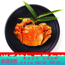 【活鲜】大闸蟹特大螃蟹六月黄礼盒鲜活现货3.5-1.5两 莫尔加德 (3.0-2.5两)10只