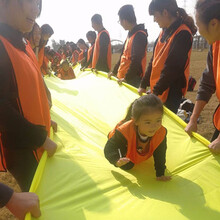 贝琪雅滑溜布幼儿园感统训练器材户外活动亲子互动迷彩体智能溜溜布道具 黄色 8*1.4米