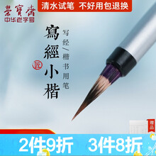 荣宝斋毛笔 写经小楷 文房四宝书法国画创作品初学者书法笔写经毛笔字帖蝇头小楷抄经工笔勾线画印稿兼毫笔 虚中系列-写经小楷（单支）