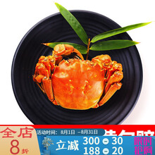 【活鲜】鲜活大闸蟹特大母蟹现货六月黄海鲜水产河蟹礼盒装3.5-1.5两 塔布莫特 (3.0-2.5两)8只