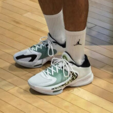 耐克（NIKE）板鞋男鞋2025年春季新款Ebernon Low PRM低帮运动鞋复古休闲鞋 DJ6148-100字母哥4代 40