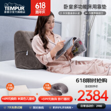 泰普尔（Tempur）tempur泰普尔丹麦原装进口记忆棉床头护椎靠垫大靠背垫靠垫护腰垫 床用靠垫