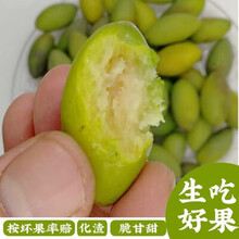 梦茜儿青橄榄两头尖 青果长新鲜福建营檀香闽侯即食敢榄合江孕妇水果 5斤 青榄 即食鲜橄榄 原产地速发