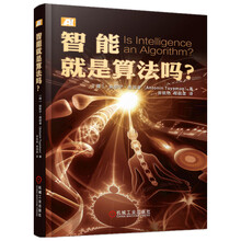 智能就是算法吗？
