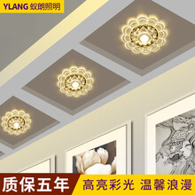 蚁朗 过道灯走廊灯明装筒灯射灯led水晶玄关灯洞孔桶灯阳台灯吸顶灯 3W白光+辅助黄光 暗装开孔5-9厘米