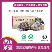 正宗紫菘【原产地洪山菜苔】菜薹莲藕拼装礼盒4000克菜苔礼盒特产 洪山菜苔1500克+野生粉藕2500克