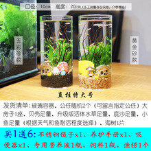 观赏生态瓶鱼微景观免换水免打理diy水族办公桌面创意造景鱼缸 圆柱特大号（五彩砂款）