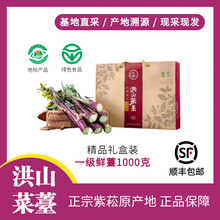 【原产地洪山菜苔】湖北武汉特产 紫菘一级鲜菜薹礼盒1000克精品 正宗紫菘原产地一级菜苔1000克