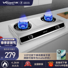 万和（Vanward）燃气灶具 4.2KW 家用台式不锈钢燃气灶 液化气双灶具 煤气炉煤气灶台 JZY-D8B26（液化气）