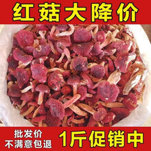 寒宁正宗福建野生红菇干货武夷山红姑香菇三明月子红蘑菇特级菌菇 250g 家庭款