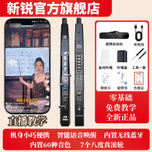 新锐XR3000国产电吹管新手入门中老年初学者电子笛子葫芦丝萨克斯乐器 标配 黑色