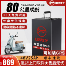 欧亚非宁德时代电动车锂电池外卖专用009新国标60V磷酸铁锂三元锂电瓶 磷酸铁锂48V25Ah 国标500W电机