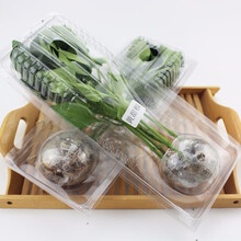 寿禾蔬菜苗大全菜苗种苗各种秧苗青椒苗番茄苗韭菜根春季黄瓜辣椒茄子寿光藩茄带土发货四季苗子阳台家庭种植 【寿禾包装】黄甜椒苗 6棵