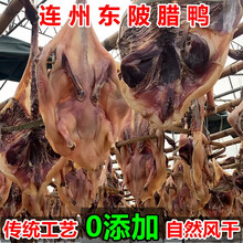 正宗广东连州腊味东陂腊味农家风干无添加咸香味客家特产腊鸭整只 风干大腊鸭1只（900克左右）