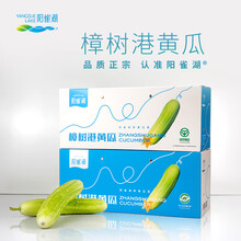 阳雀湖（YANGQUELAKE）正宗湖南樟树港新鲜白黄瓜5斤礼盒装农产品地理标志绿色食品认证