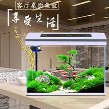宝贝故事 超白鱼缸水族箱 生态鱼缸客厅鱼缸中小型懒人鱼缸免换水鱼缸创意七彩灯桌面鱼缸小 80*37*56cm标配