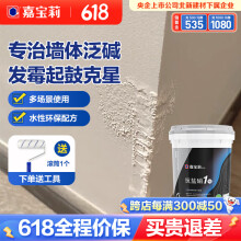 嘉宝莉（CARPOLY） 抗盐硝1号抗泛碱特种防水涂料墙面地面通用强力翻新防水补漏涂料 5.5kg