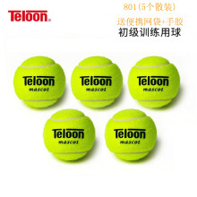 天龙（Teloon）网球训练球进阶初学专业比赛网球耐磨 801初学训练-散装5个 送网袋手胶