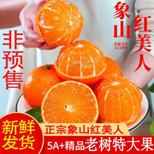 象山红美人爱媛果冻橙28柑橘5斤 新鲜当季薄皮水大果桔子整箱mm 5斤