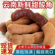 酸角甜角云南甜酸角果干罗望子西双版纳特产新鲜水果十大干特色产品零食美食孕妇正宗旗舰店官方 新鲜正宗云南大甜酸角1000g 京东自有品牌正品