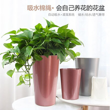 花盆自动吸水免浇水懒人 高桶高腰仿金属质感现代简约花器 绿萝文竹芦荟兰花红掌富贵竹吊兰塑料花盆 玫瑰金 A409大/高30*宽17cn