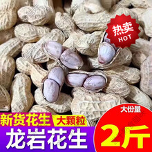 龙岩水煮花生蒜香味1000g带壳盐咸晒干花生米福建特产酒鬼零食 水煮味500g+咸酥500g