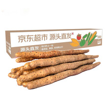 京鲜生 河南焦作温县垆土铁棍山药净重5斤 单根40cm+ 蔬菜 源头直发