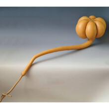 八宝葫芦娃迷你手捻葫芦种子特大葫芦食用西葫芦种子瓠子种子 如意葫芦2粒