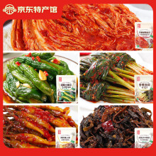 金刚山苹果梨辣白菜韩国泡菜韩式风味泡菜朝鲜族泡菜下饭菜开袋即食 白菜黄瓜葱美人椒茄子 5袋共1490g