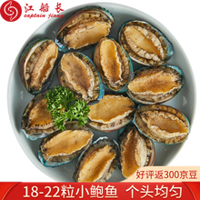 江船长无壳鲍鱼肉净重110g(12粒） 活鲍加工 火锅烧烤食材海鲜水产