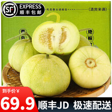 趣觅鲜马连庄甜瓜山东莱西特产蜜宝王小香瓜青岛蜜蜂甜瓜新鲜水果 9斤装约16-18个