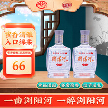 浏阳河小曲101 白酒 45度 240mL 12瓶