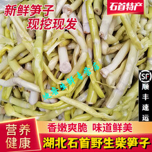 桃西村【顺丰】湖北石首华容菜财柴笋子野生芦苇笋酒店食材真空包装新鲜 柴笋 4斤