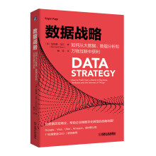 数据战略：如何从大数据、数据分析和万物互联中获利