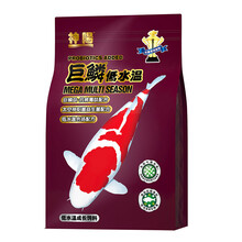 神阳锦鲤饲料 巨鳞育成  增色增体 艳红锦鲤鱼食 鱼粮  巨鲤级比赛竞技专业饲料1kg 10kg 巨鳞低水温 1kg M 大粒