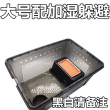 现货 爬虫箱爬宠柜爬虫盒保温箱宠物饲养盒守宫蛇繁殖养殖器具抽屉 大号配加湿躲避(颜色备注)