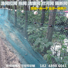 萌肉居 渔网拉网清塘小型捕鱼网抬网网箱拦河网围网刮网定做 4米高30米长12股2厘米
