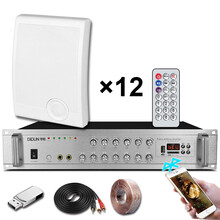 帝顿（DIDUN） 壁挂音箱 广播喇叭音响套装背景音乐 幼儿园商场超市校园教室 壁挂音响 12个10瓦壁挂+250瓦蓝牙功放+60米线