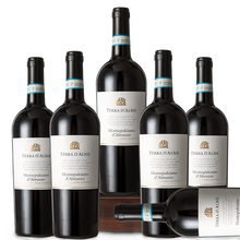 意大利原瓶进口DOC级红酒托斯卡纳干红葡萄酒礼盒750ML 整箱6支装