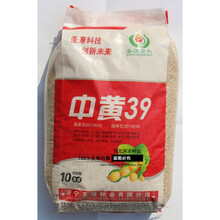 大豆种子 黄豆种子 中黄39 高产大豆种子 大面积农户用种中黄39 一斤