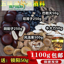 伟博双肾子阴阳子风流果巴戟天牛大力性滋泡酒补阳温肾保货 五味材共1100克送玛咖片50克