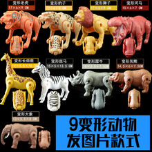 变形恐龙蛋玩具儿童玩具会变形的恐龙蛋 9只超大动物变形 (不带蛋壳)