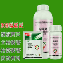 禾益 30%噁霉灵恶霉灵 水剂农药 防治辣椒蔬菜立枯病西瓜植物枯萎病根腐病农用土壤消毒杀菌剂 1000克/瓶*2瓶